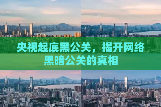 央视起底黑公关，揭开网络黑暗公关的真相