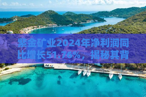 紫金矿业2024年净利润同比增长51.76%，揭秘其背后的成功策略与未来展望