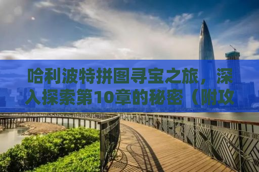 哈利波特拼图寻宝之旅，深入探索第10章的秘密（附攻略）