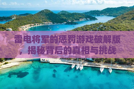 雷电将军的惩罚游戏破解版，揭秘背后的真相与挑战