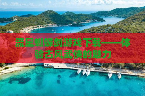 流星蝴蝶剑游戏下载——体验古风武侠的魅力