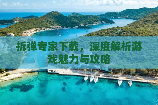 拆弹专家下载，深度解析游戏魅力与攻略