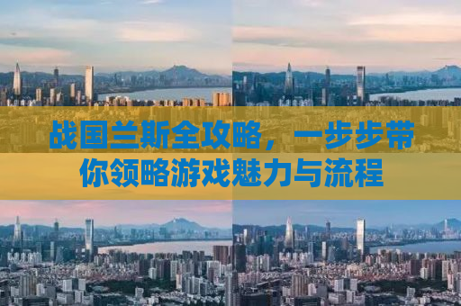 战国兰斯全攻略，一步步带你领略游戏魅力与流程