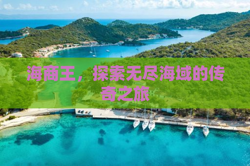 海商王，探索无尽海域的传奇之旅