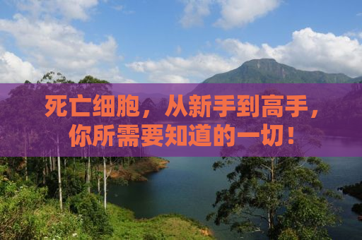 死亡细胞，从新手到高手，你所需要知道的一切！